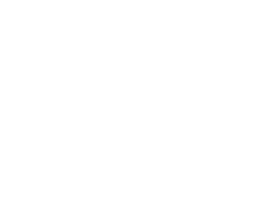ZAK Technologies logo